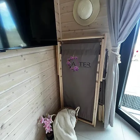 بيت خشبي Aster